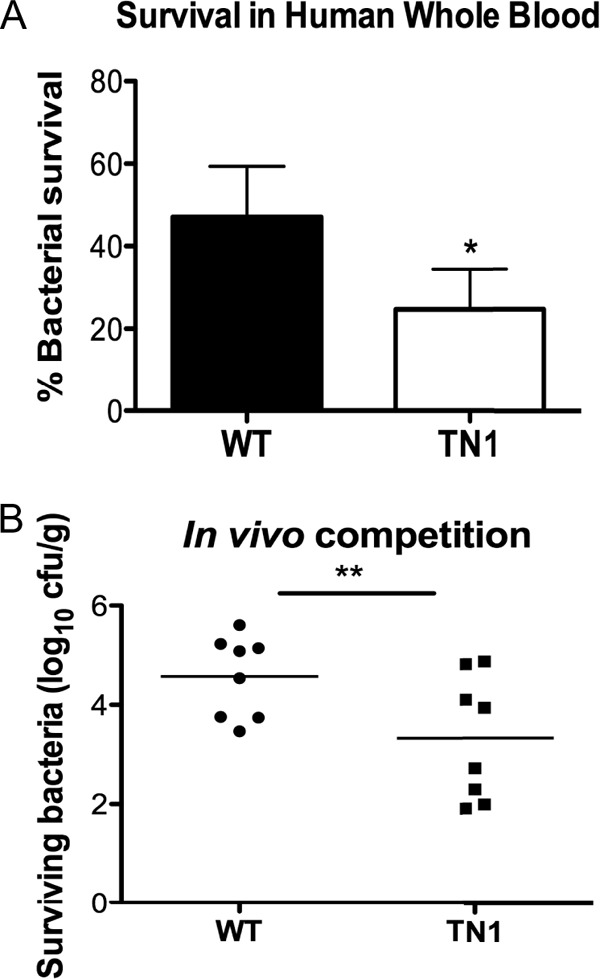 FIG 6