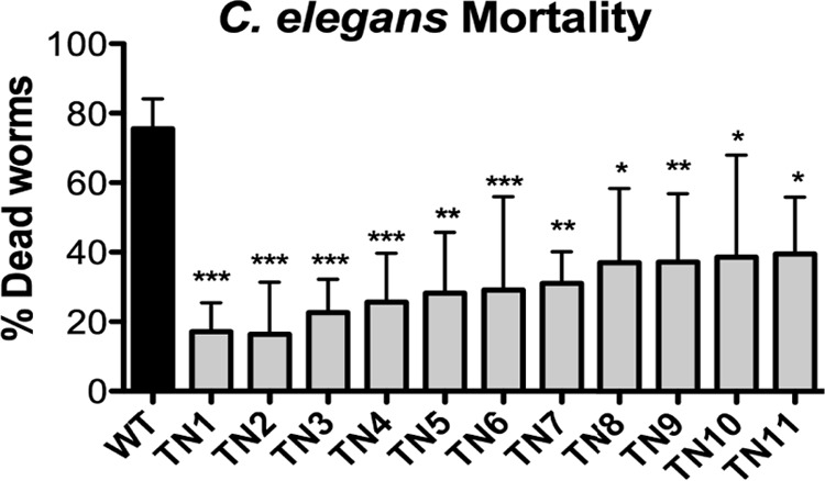 FIG 1