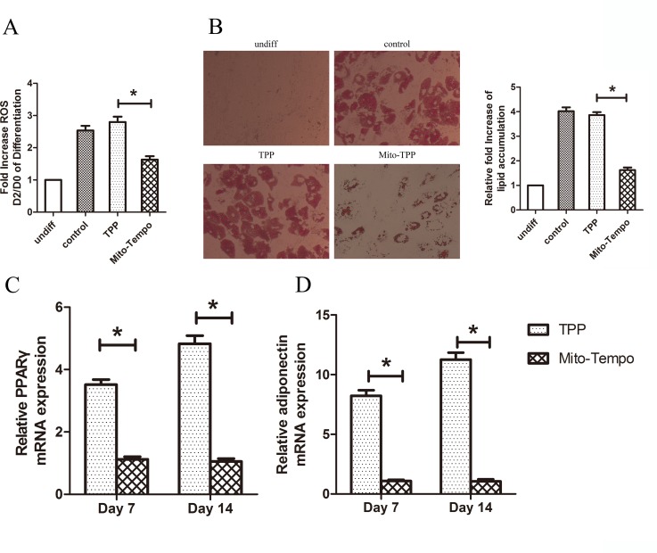 Fig 4