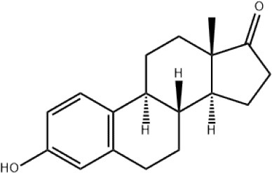 graphic file with name fphys-12-731234-i0019.jpg