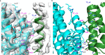 Extended Data Fig. 4