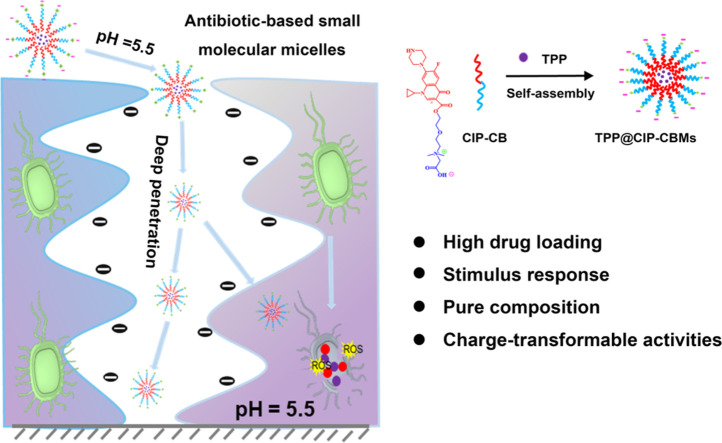 Image, graphical abstract