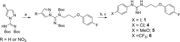 Scheme 4