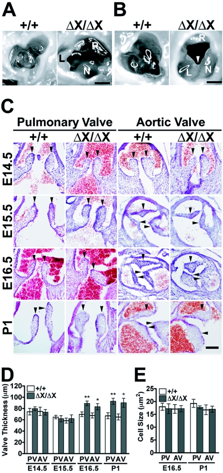 FIG. 4.