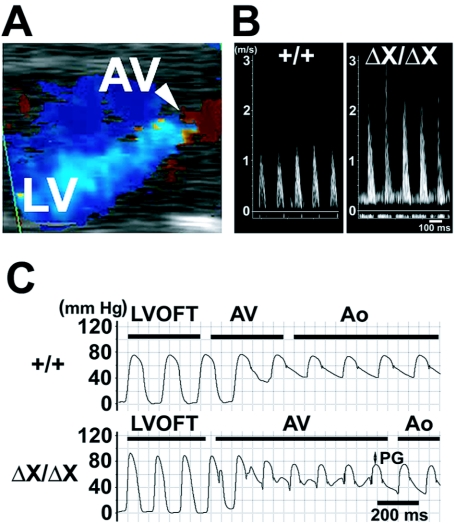 FIG. 3.