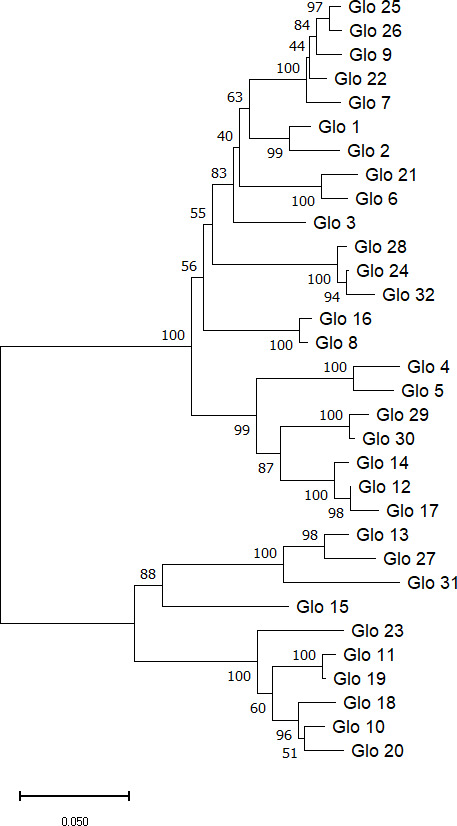 Figure 2