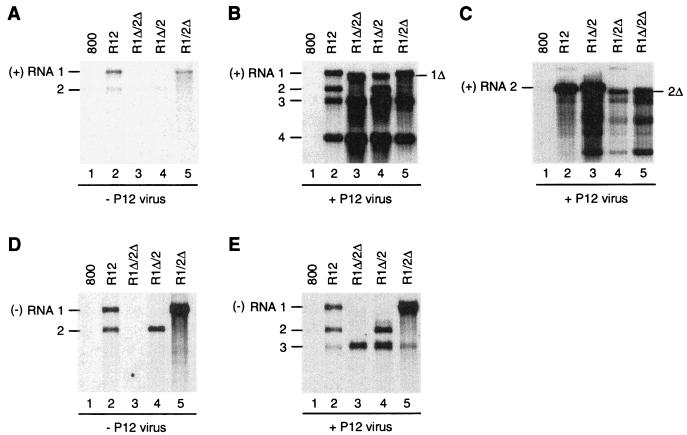 FIG. 3