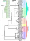 Fig 5