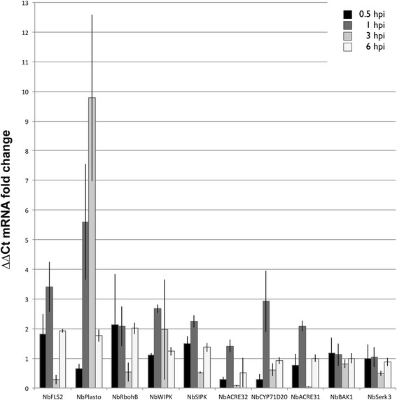 Figure 6