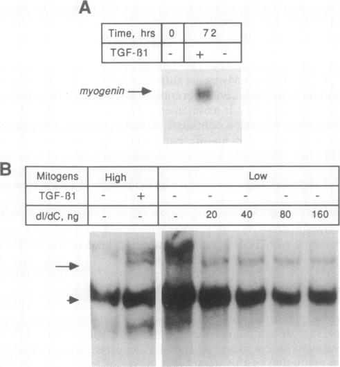 graphic file with name pnas01085-0407-a.jpg