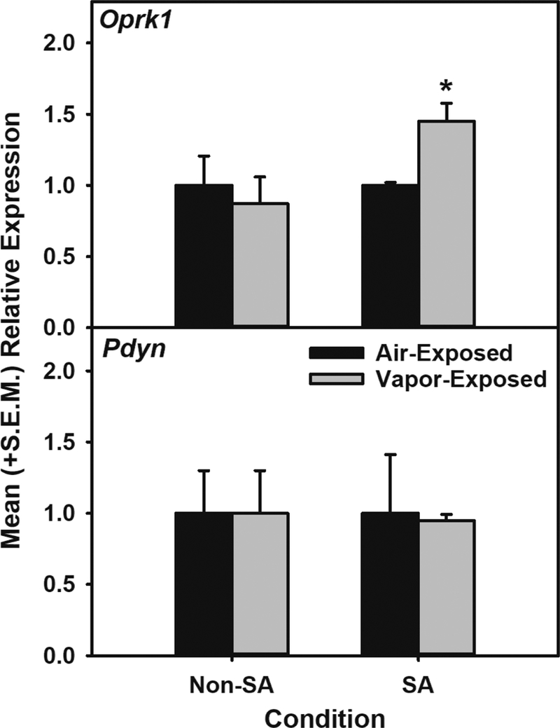 Figure 4: