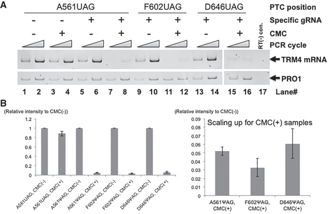 FIGURE 4.