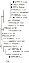 Fig 1