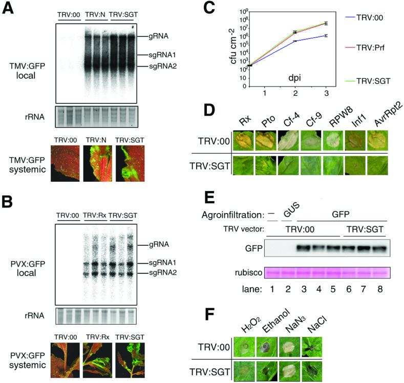 Fig 3.