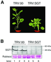 Fig 2.