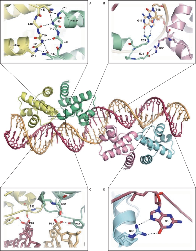 Figure 5.