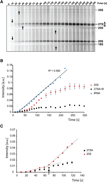 Figure 6