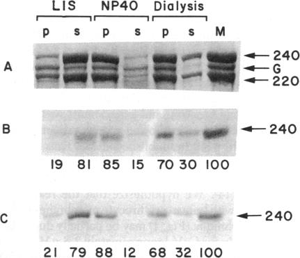 graphic file with name pnas00451-0113-b.jpg