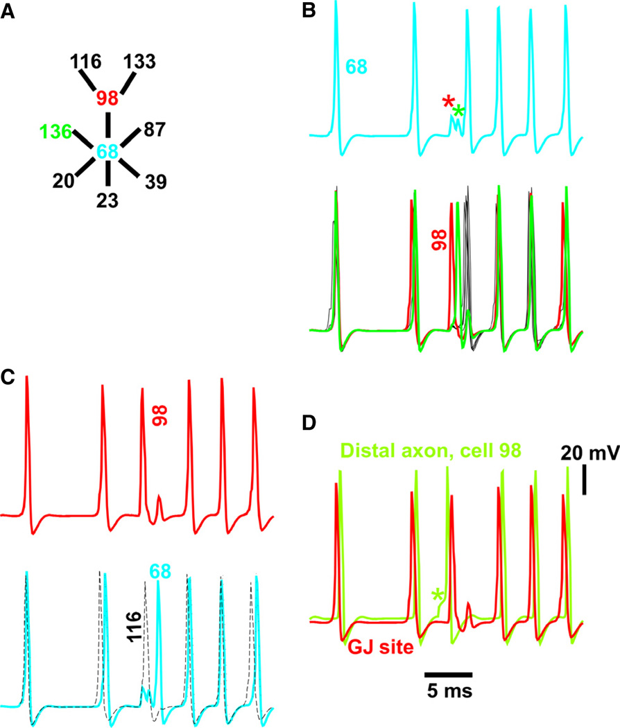 Fig. 8