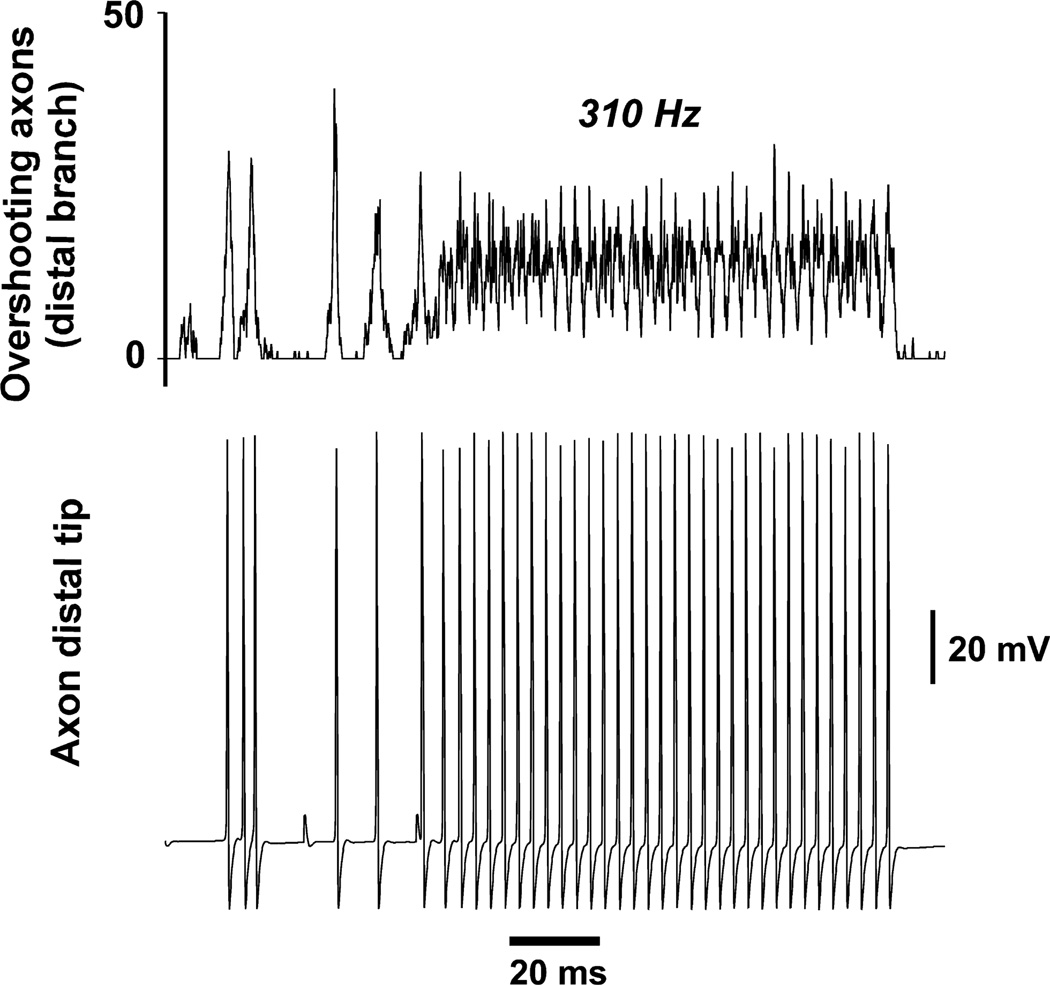 Fig. 6