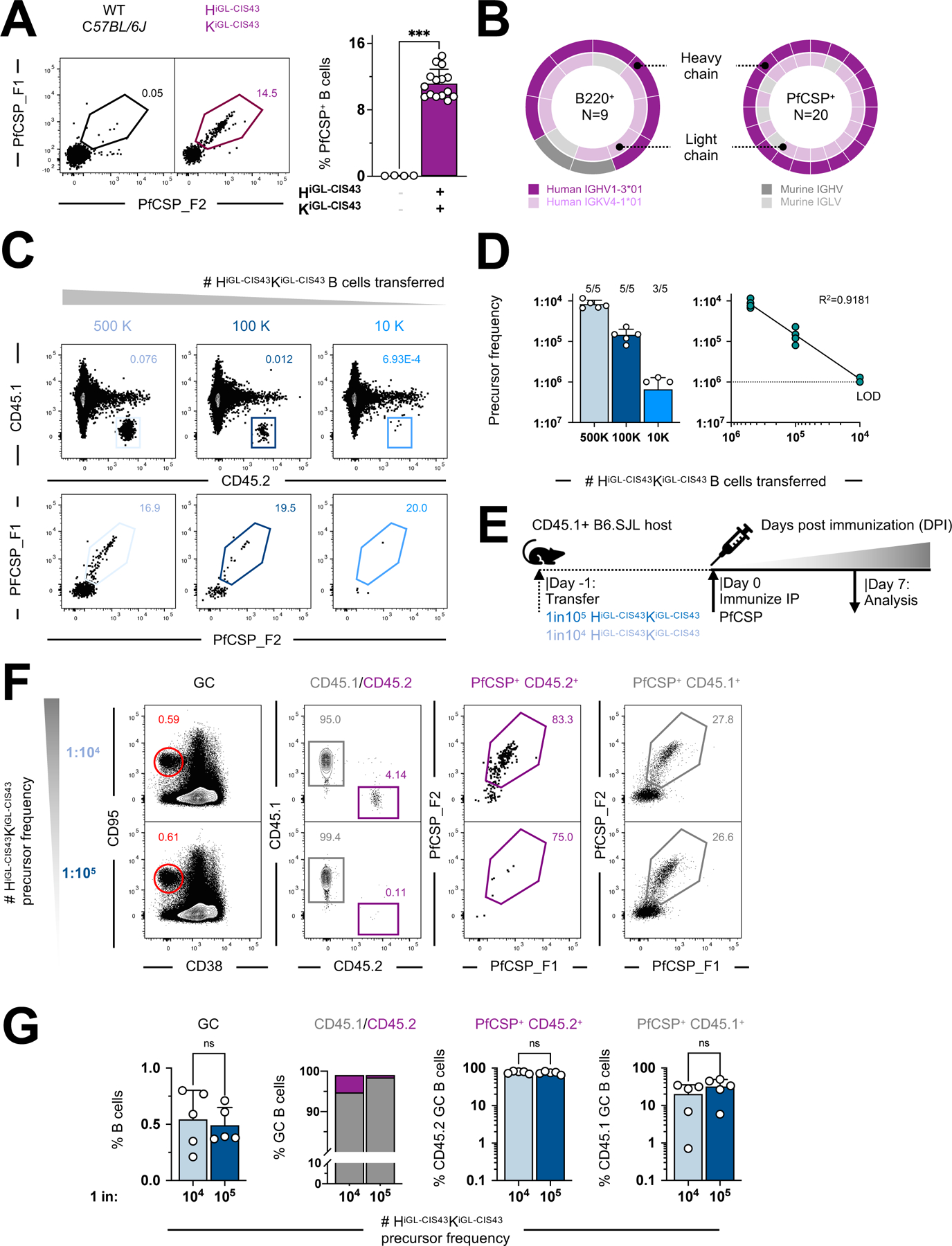 Figure 1: