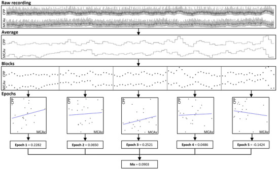 FIGURE 1