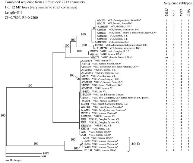 FIG. 2.