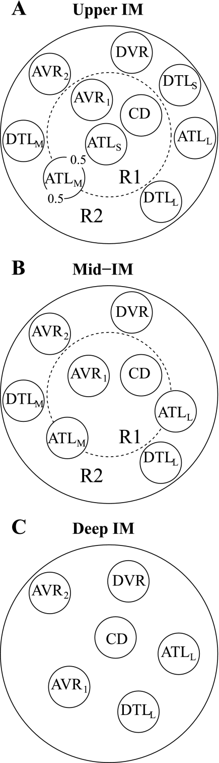 Fig. 1.