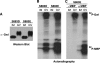 Fig 13