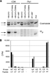 Fig 10