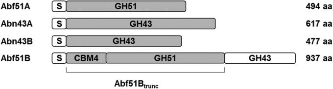 FIG 2