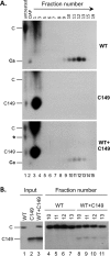 FIG 6