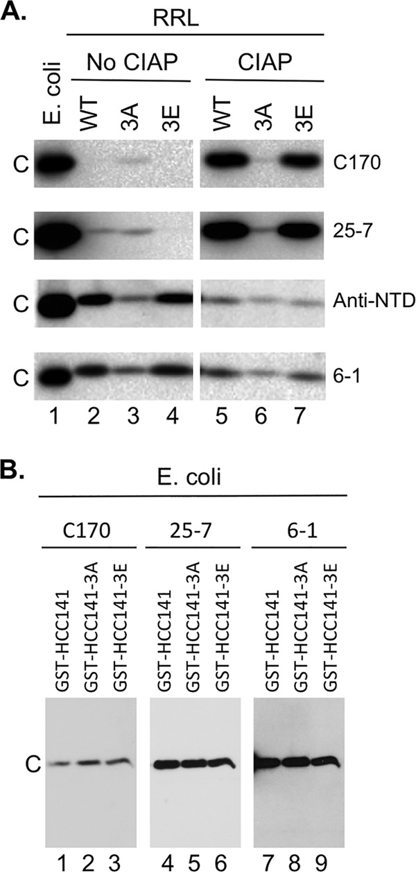 FIG 3