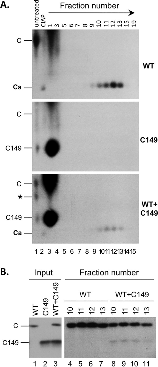 FIG 6