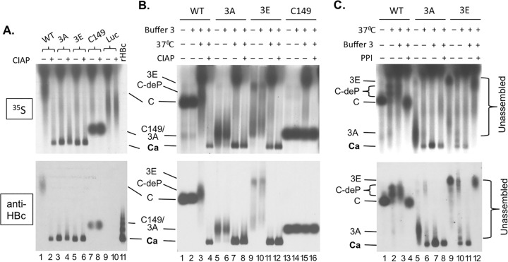 FIG 2