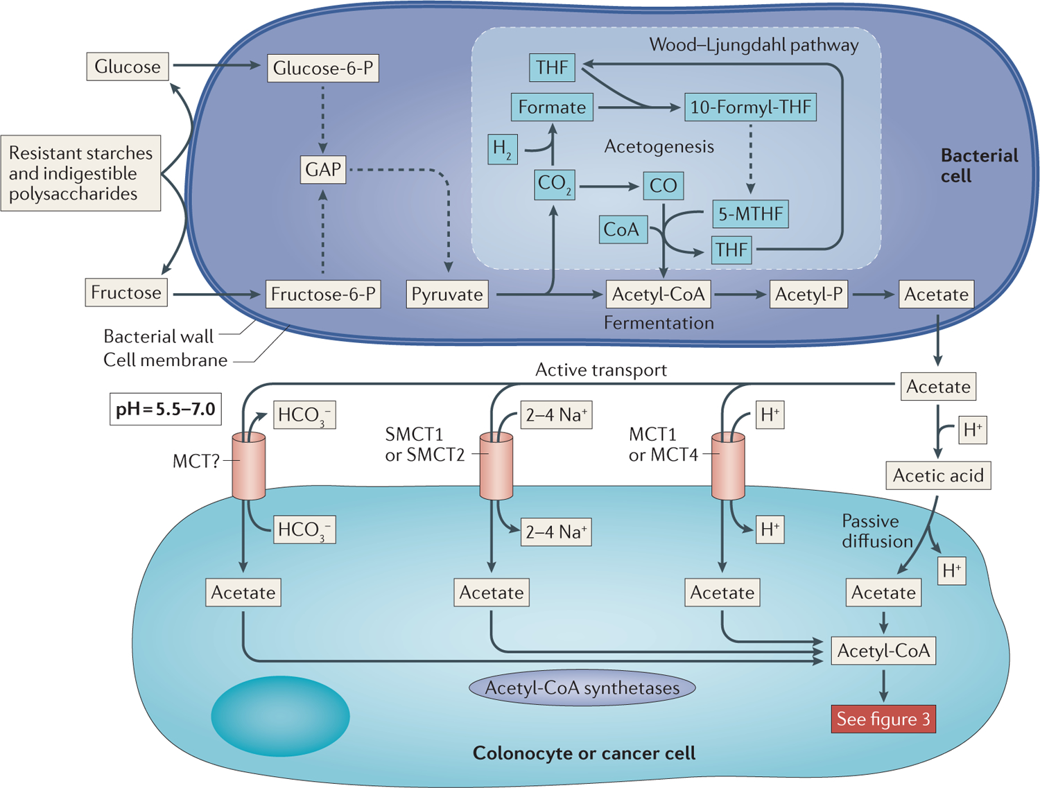 Figure 2 |