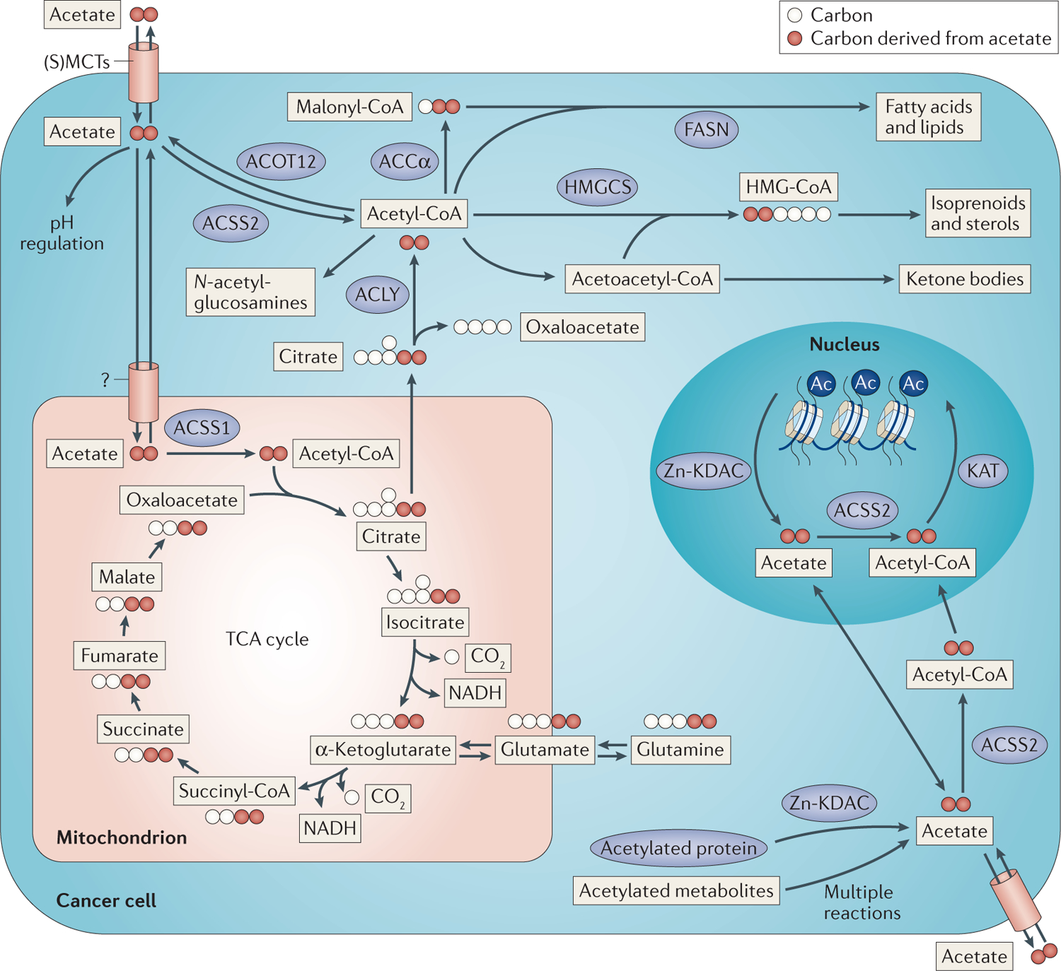 Figure 3 |