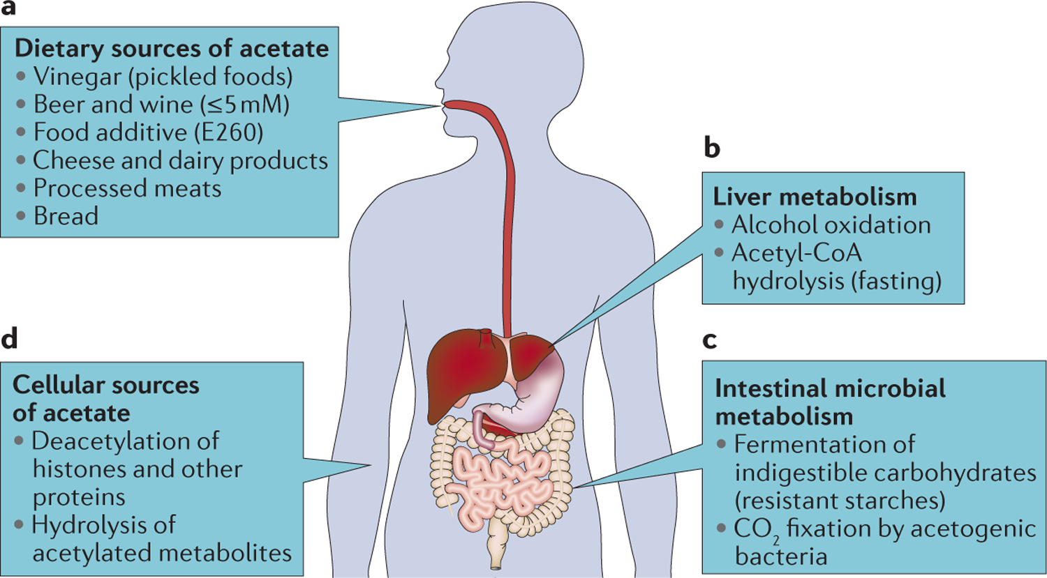 Figure 1 |