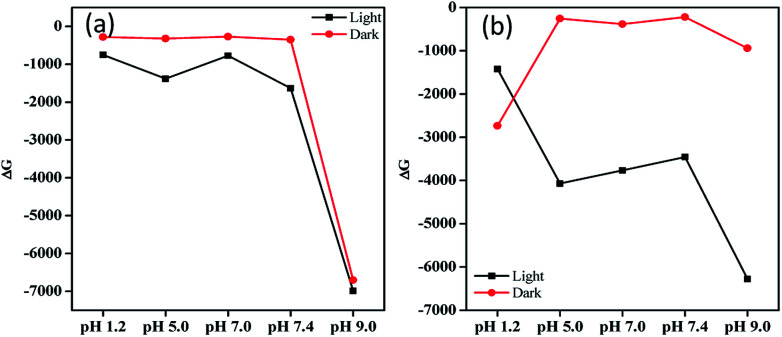 Fig. 12