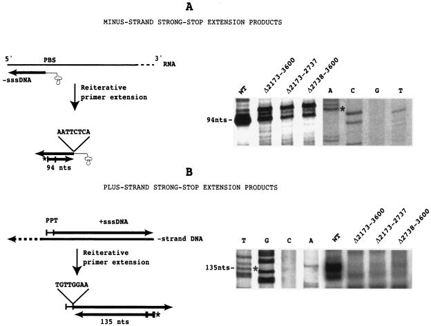 FIG. 5.