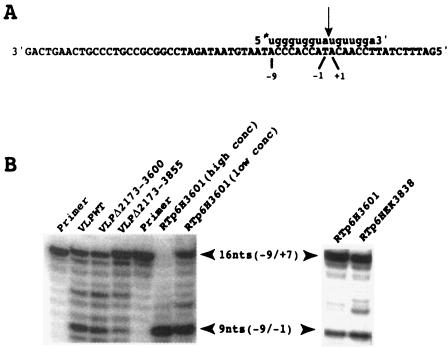 FIG. 6.