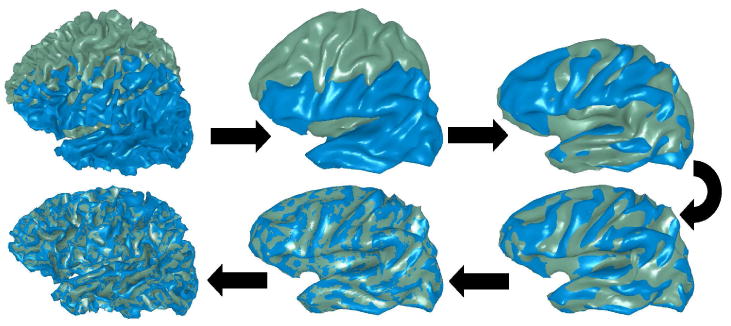 Fig. 2