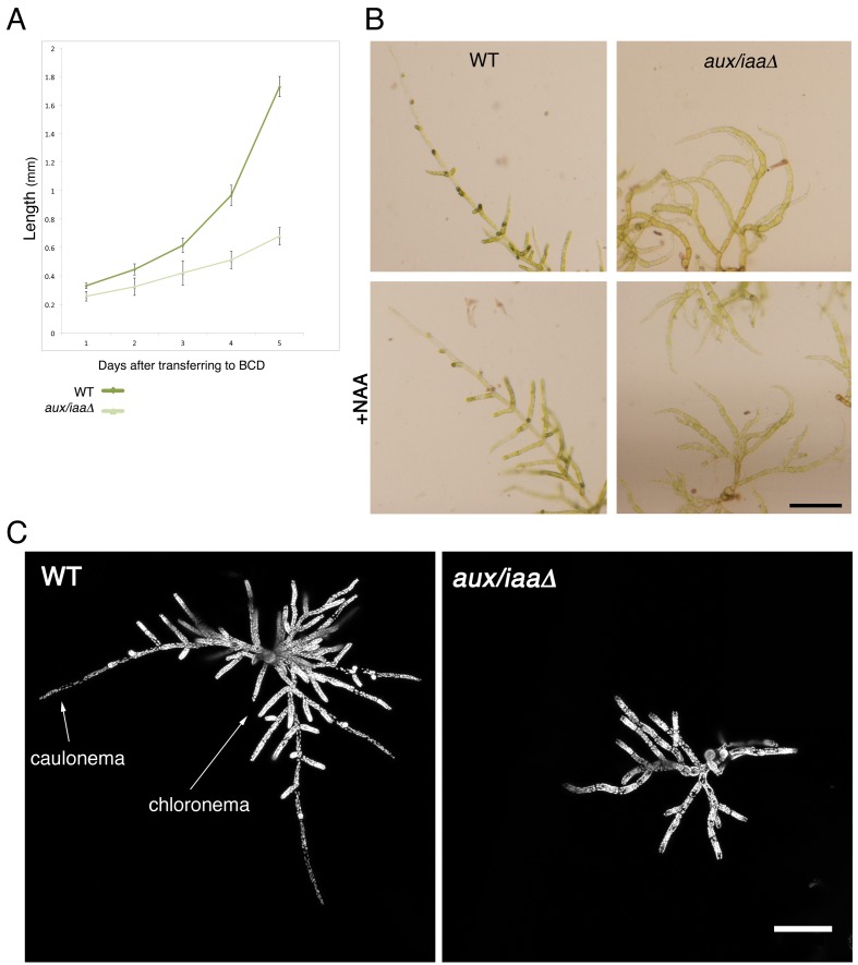 Figure 1—figure supplement 2.