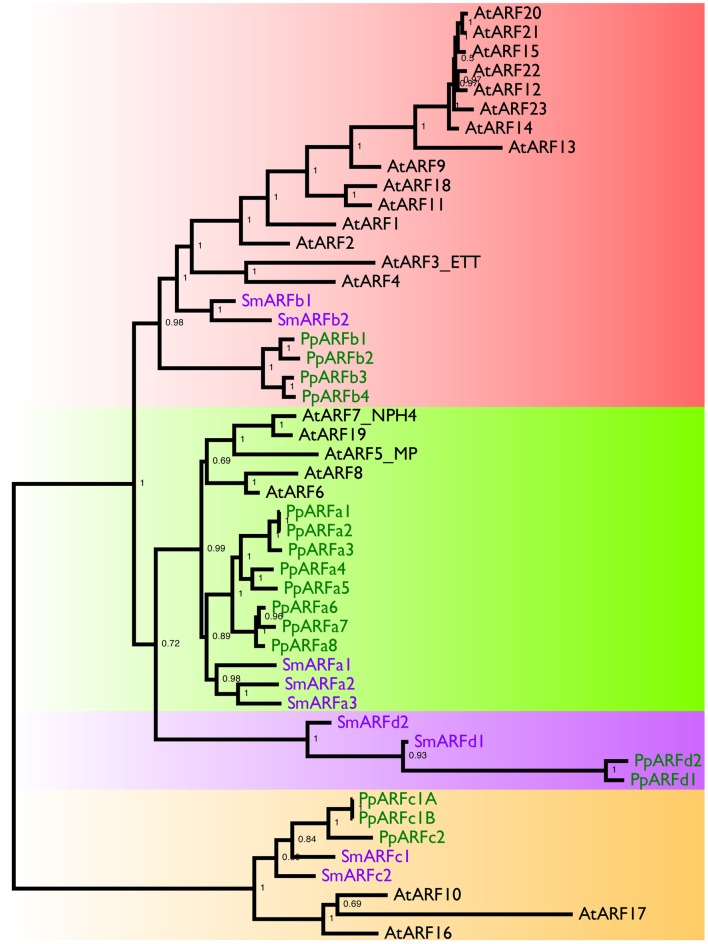 Figure 3—figure supplement 1.