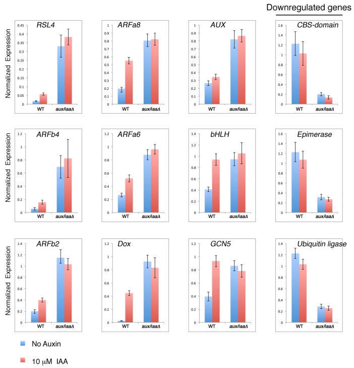 Figure 2—figure supplement 2.