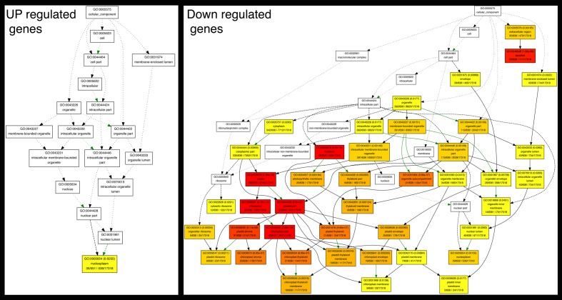 Figure 2—figure supplement 3.