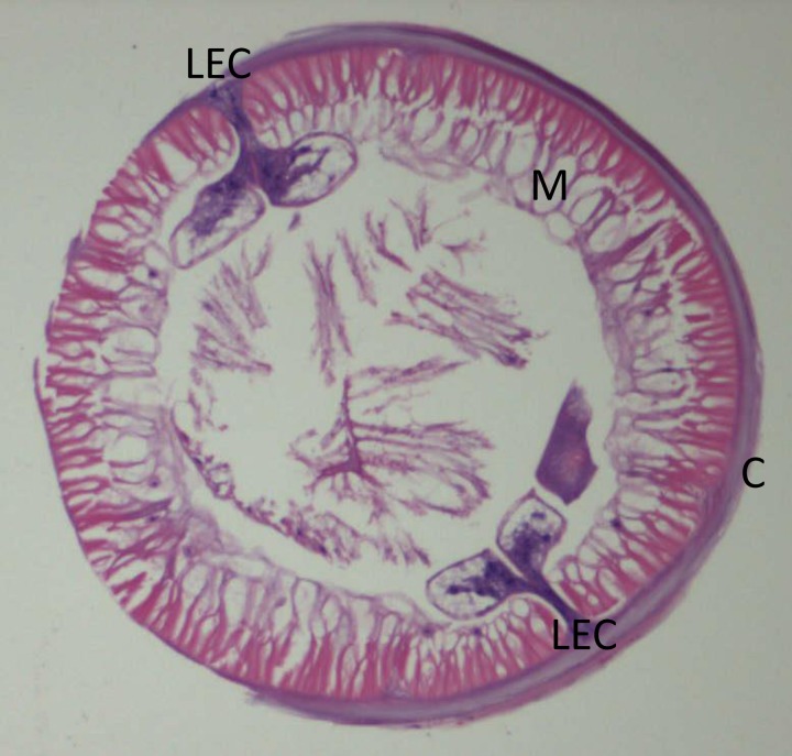 Figure 3.