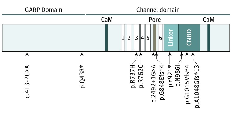 Figure 3. 