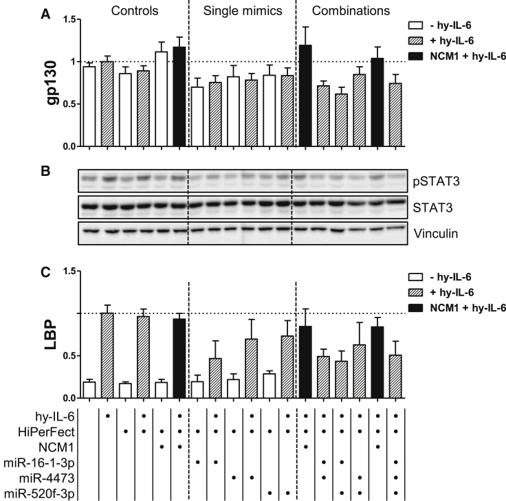 Figure 3