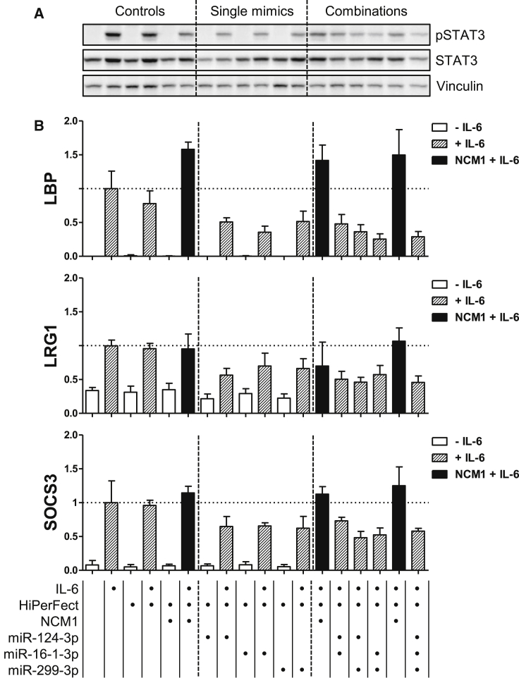 Figure 5